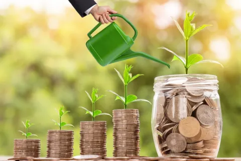 Capaian Investasi Morowali Tertinggi di Sulteng