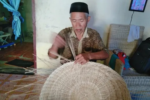 Peluang Bisnis Rotan Menjanjikan di Morowali, Tapi Belum Tersentuh