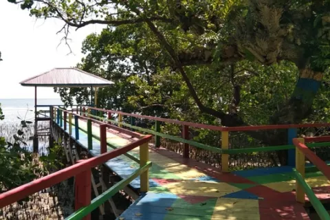Hutan Mangrove, Destinasi Wisata yang Banyak Bertebaran di Morowali
