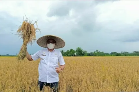 Bupati Morut Ungkap Sebab Kemiskinan Tak Turun Padahal Investasi Naik
