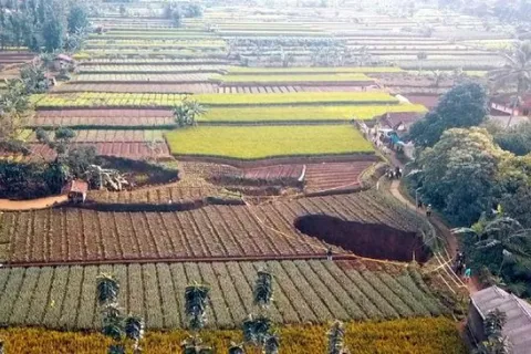Lubang 1 Meter Misterius Muncul di Sawah Warga di Bandung Barat