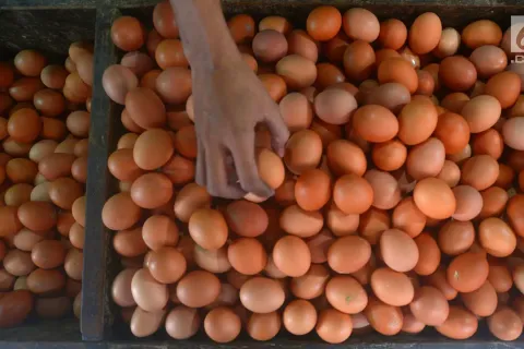 Harga Telur dan Cabe Rawit di Morowali Meroket, Diprediksi Bakal Terus Naik