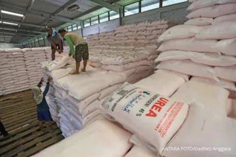 Pupuk Indonesia Siapkan 310.822 Ton Pupuk Subsidi untuk Indonesia Timur