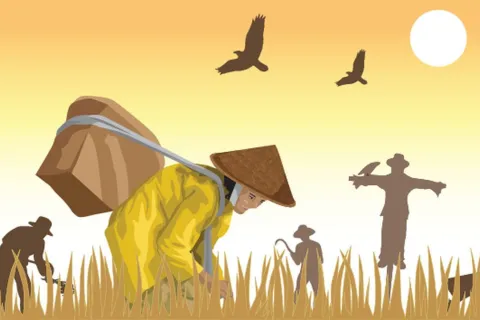 Periode Januari-Agustus 2023, Daya Beli Petani di Sulteng Terus Tumbuh Positif