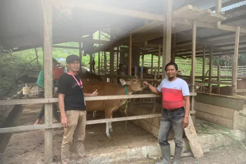 Penuhi Kebutuhan Sapi dalam Negeri, Dinas Pertanian Morowali Luncurkan Program Sikomandan Buser