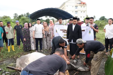 Idul Adha 1445 H, Polres Morowali Sembelih 25 Hewan Kurban