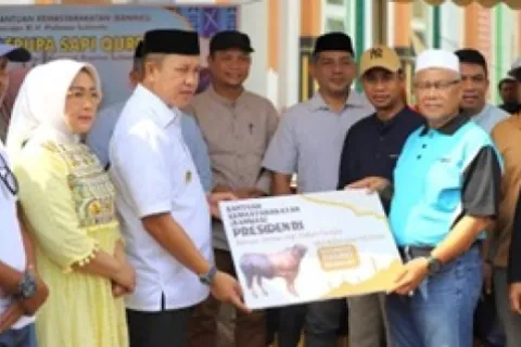 Bupati Morowali Serahkan Bantuan Sapi Kurban Presiden ke Panitia