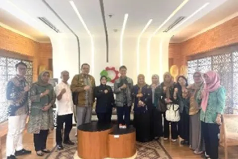 Wakil Bupati Morowali, Iriane Iliyas Hadiri Audiensi DAK Tematik IKM Kawasan Industri di Jakarta
